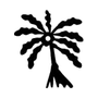 ABE DUA